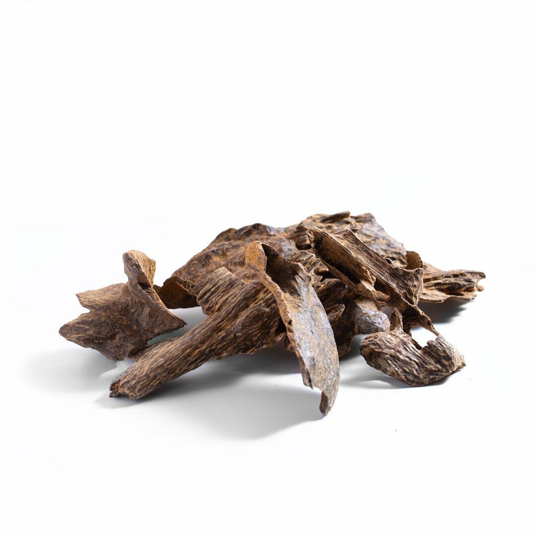 Bokhour Brachini Fakher